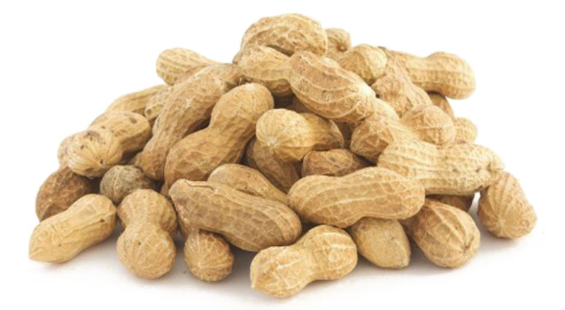 Pileof Peanuts Transparent Background PNG image