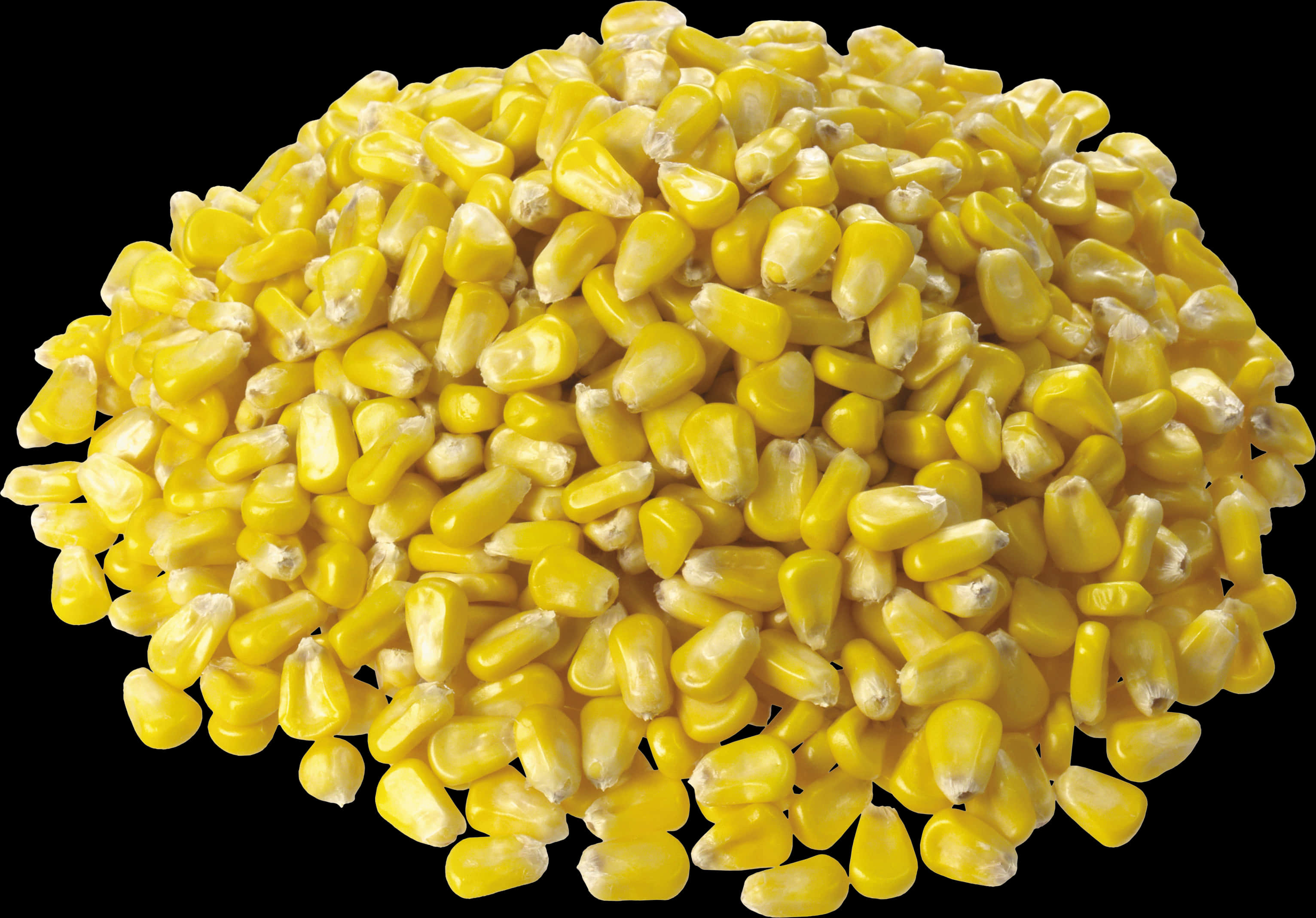 Pileof Yellow Corn Kernels PNG image