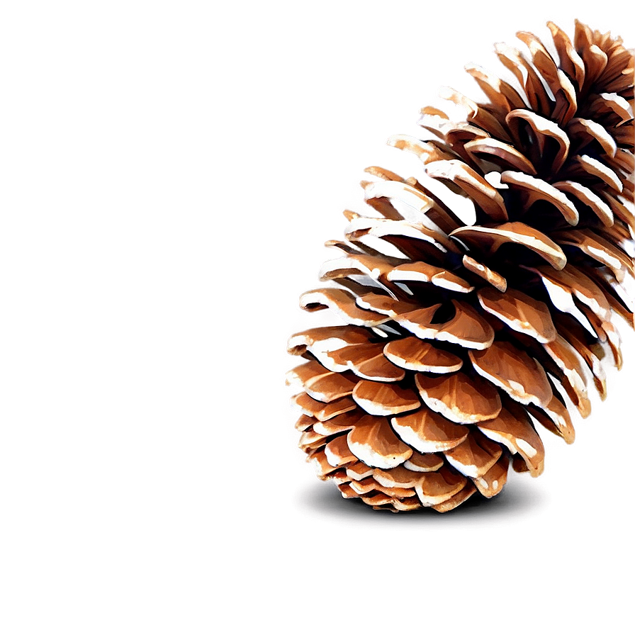 Pine Cone Decoration Png 47 PNG image