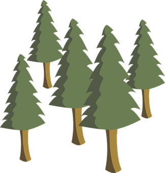 Pine Forest Illustration PNG image