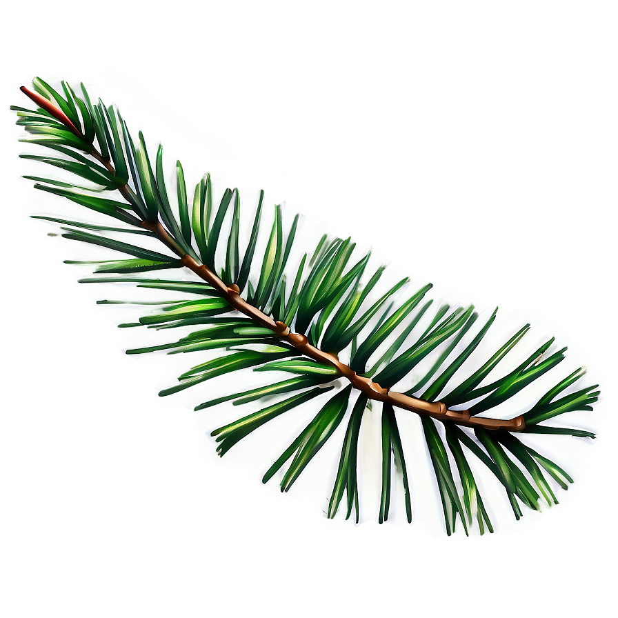 Pine Leaves Png 05042024 PNG image