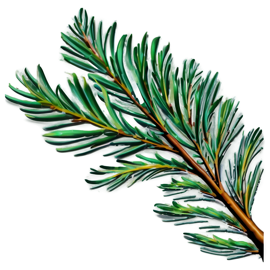 Pine Leaves Png 24 PNG image