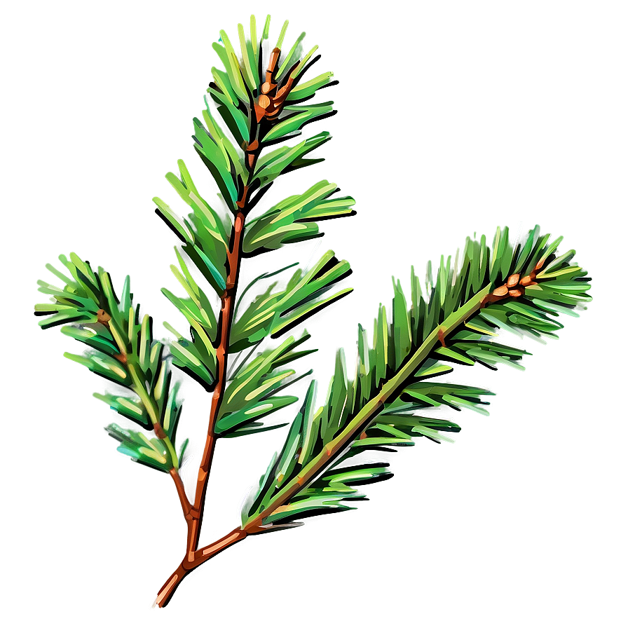 Pine Needle Close-up Png Gsl93 PNG image