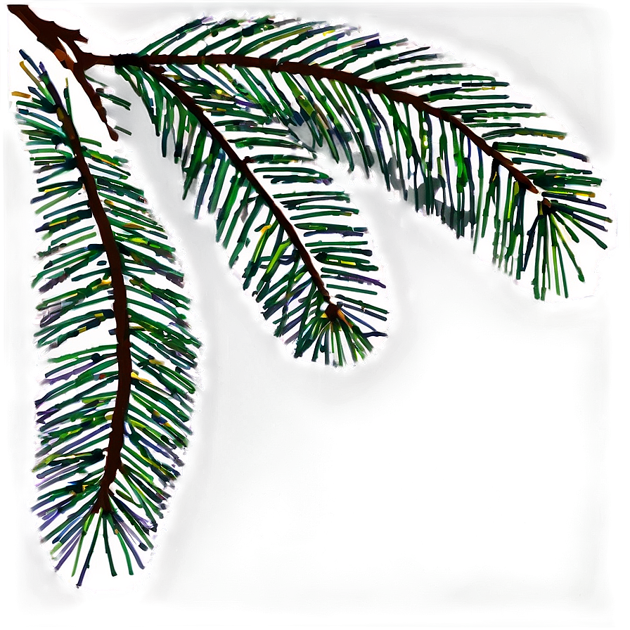 Pine Tree Branch Png 58 PNG image