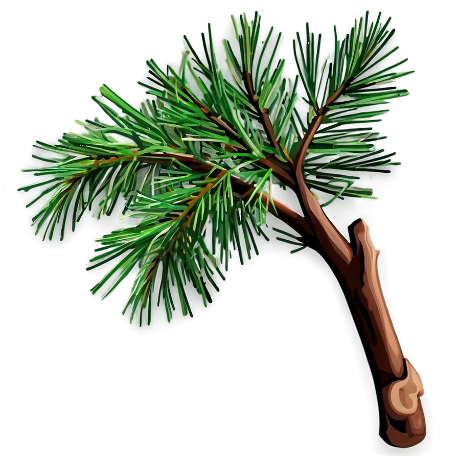 Pine Tree Branches Png 98 PNG image