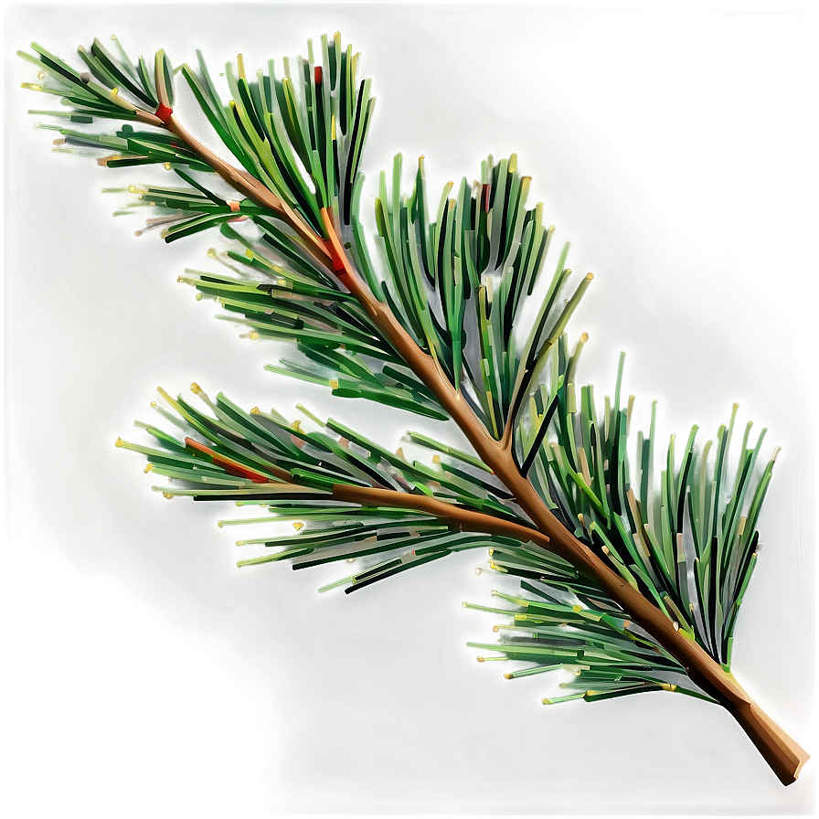 Pine Tree Branches Png Oth24 PNG image