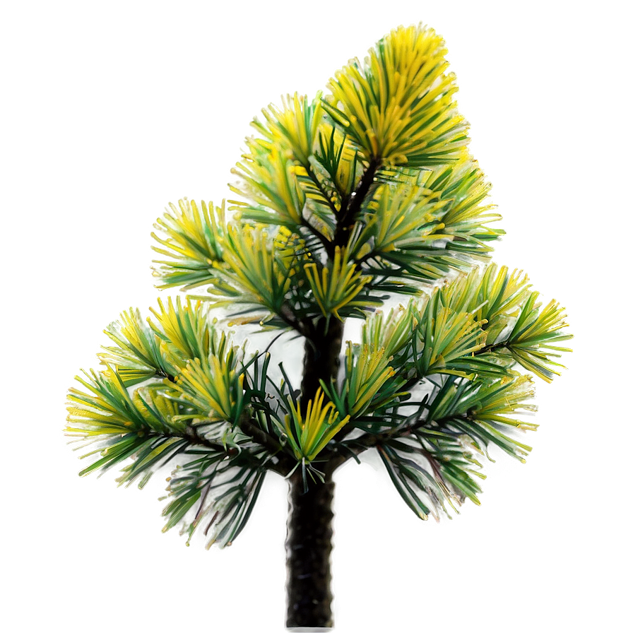 Pine Tree Pollen Cloud Png Swk PNG image