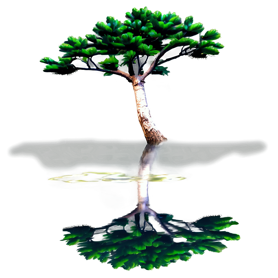 Pine Tree Reflection Water Png Rns9 PNG image