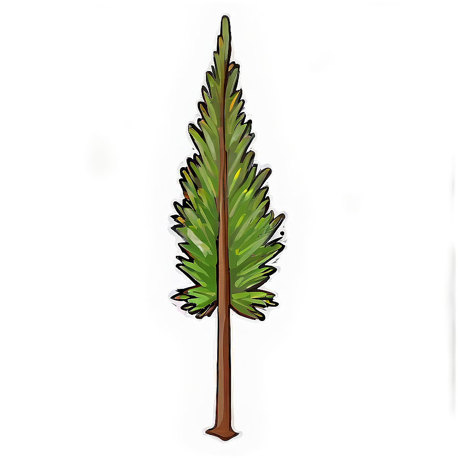 Pine Tree Sapling Png 06132024 PNG image