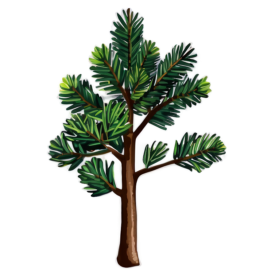 Pine Tree Seedling Png 33 PNG image