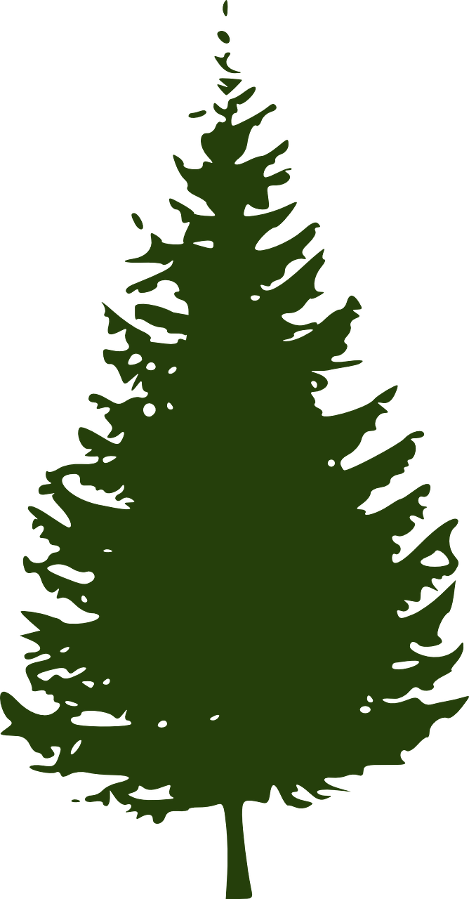 Pine Tree Silhouette Graphic PNG image
