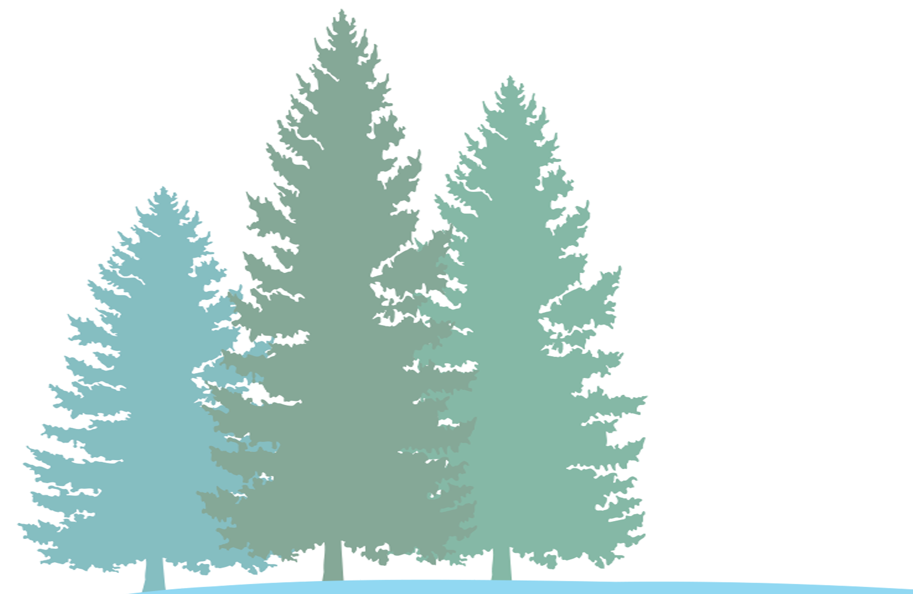 Pine Tree Silhouette Graphic PNG image