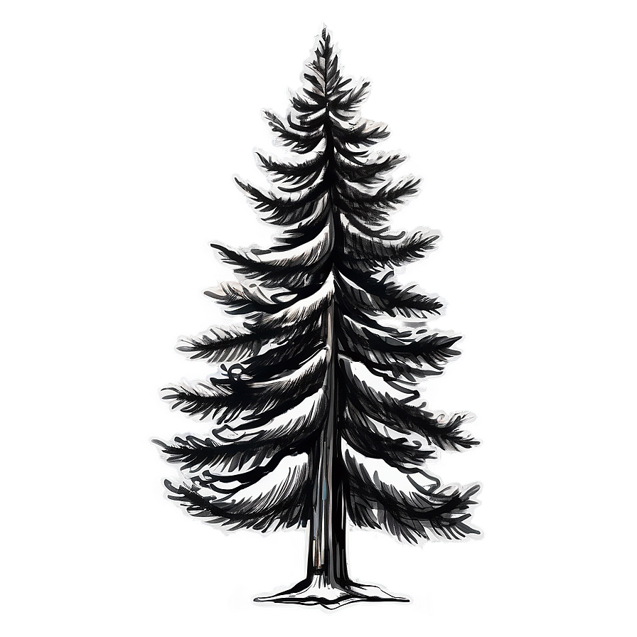 Pine Tree Sketch Png Qby14 PNG image