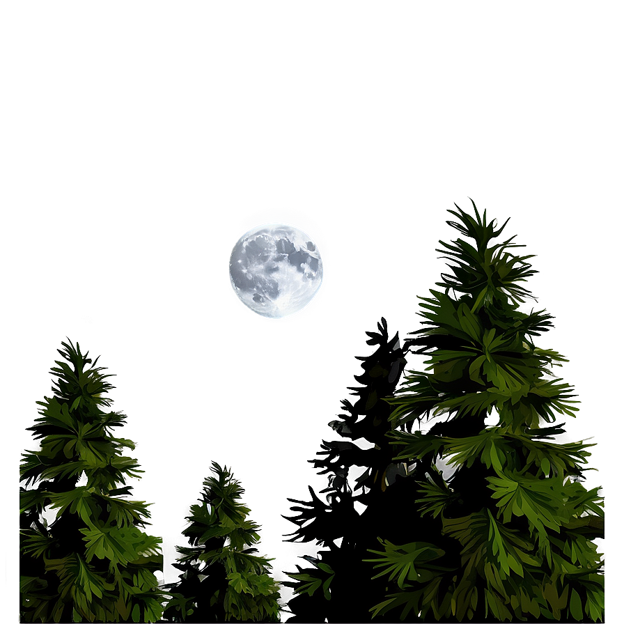 Pine Trees And Moon Png 05252024 PNG image