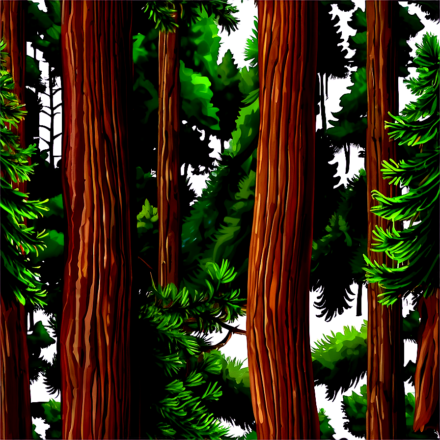 Pine Trees Art Png 05252024 PNG image