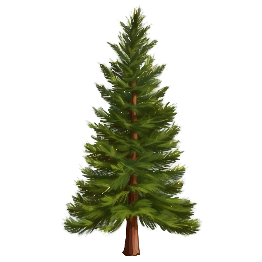 Pine Trees Forest Png 05252024 PNG image