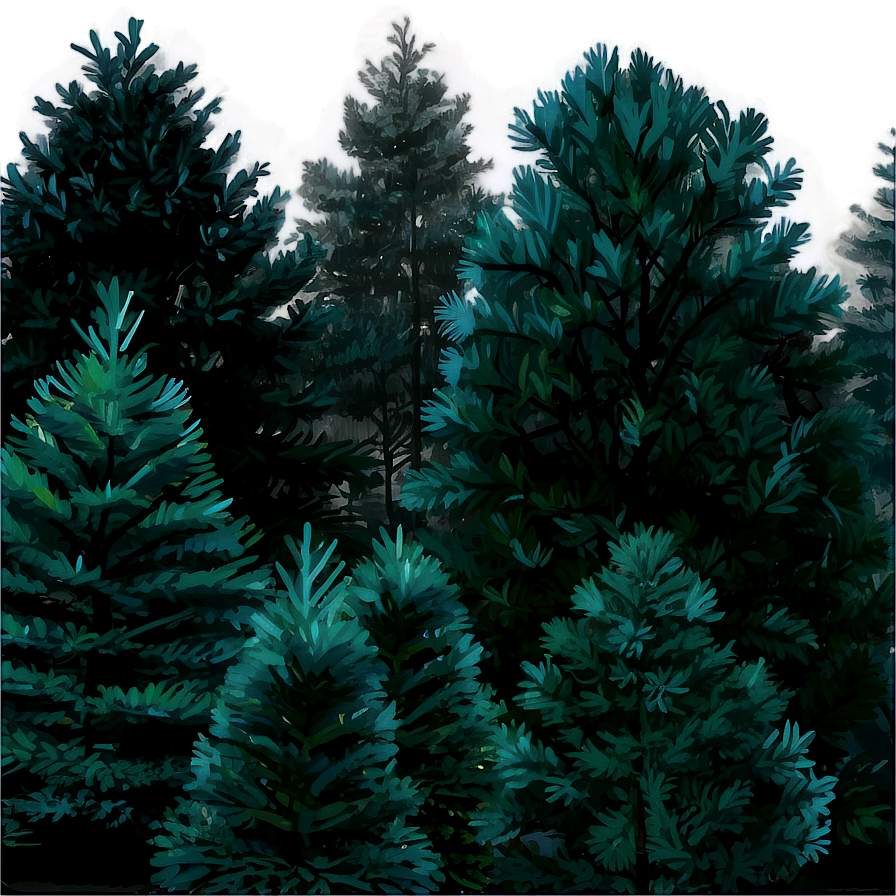 Pine Trees In The Mist Png 05252024 PNG image