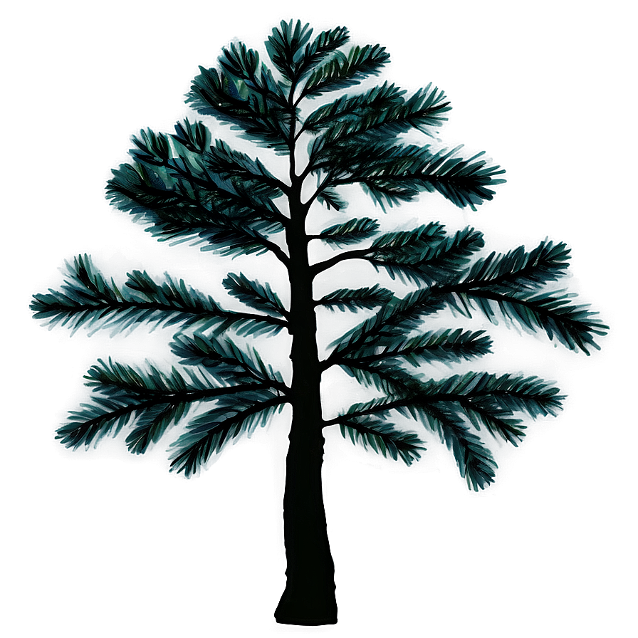 Pine Trees Night Png 05252024 PNG image