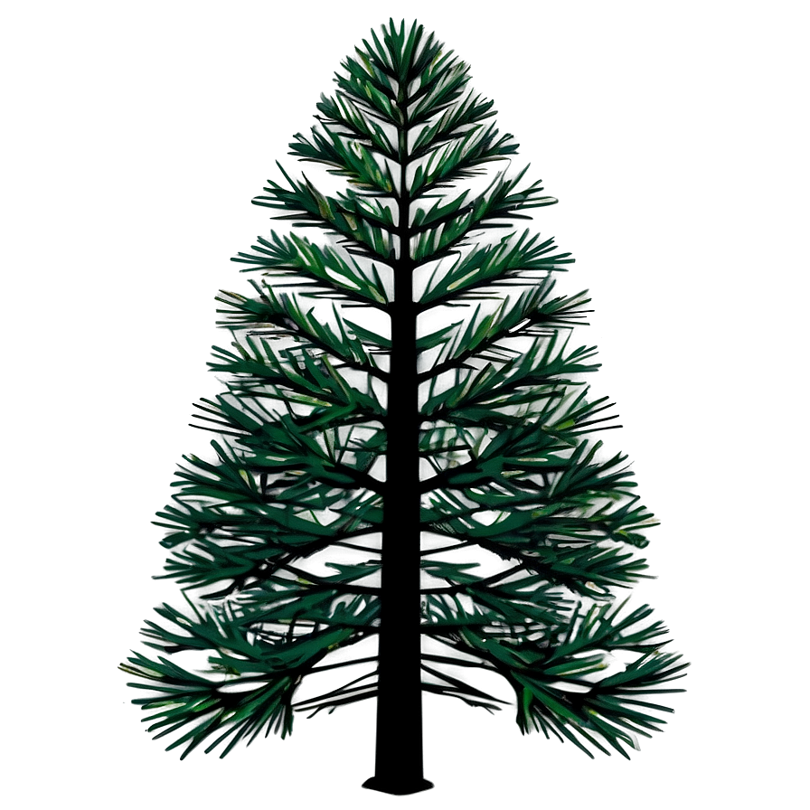 Pine Trees Silhouette Vector Png 05252024 PNG image