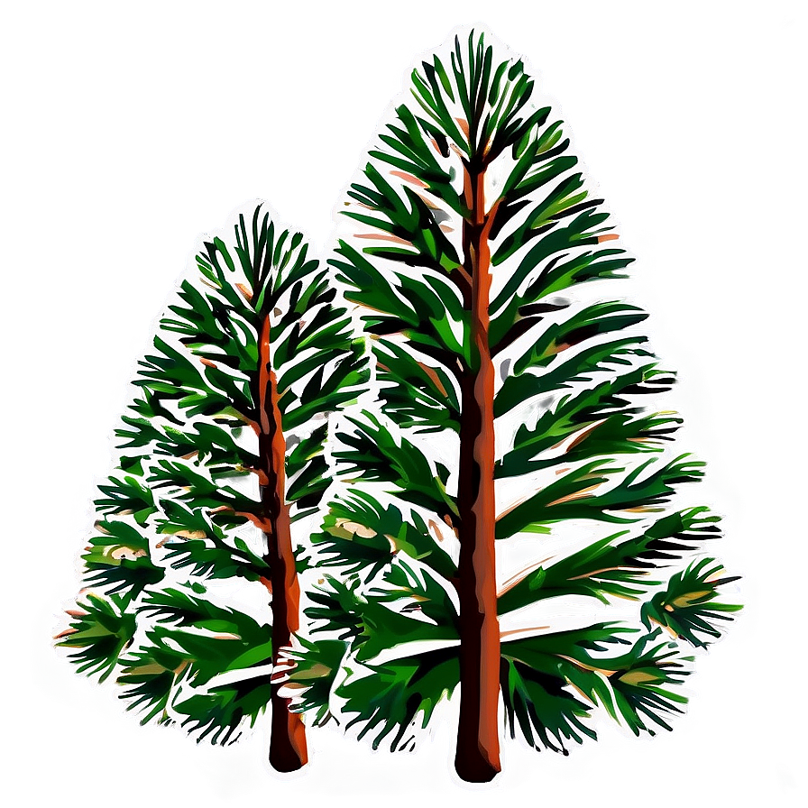 Pine Trees With Cones Png 05252024 PNG image