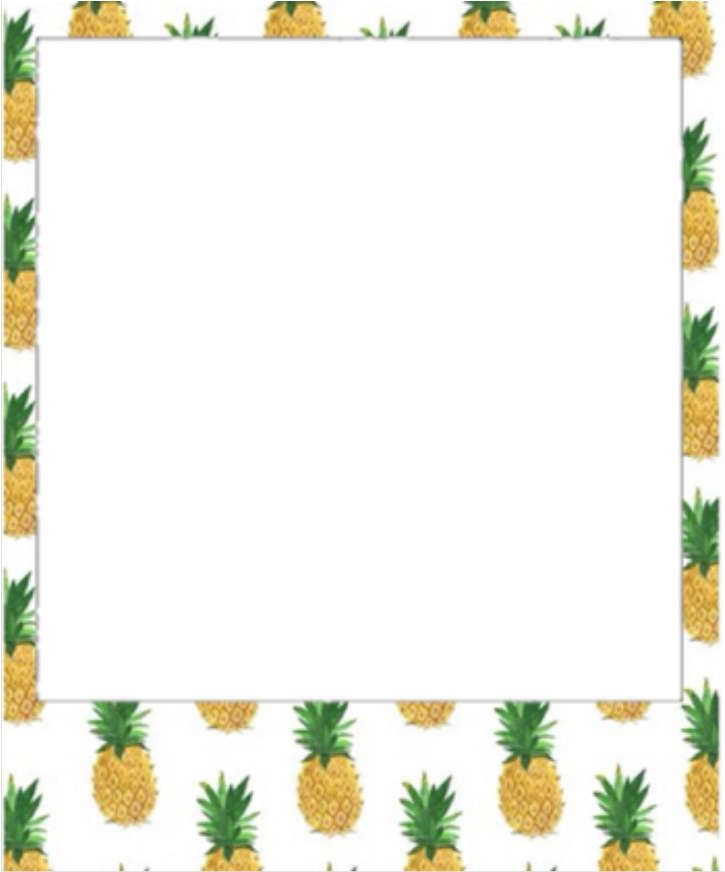 Pineapple Frame Tumblr Border PNG image