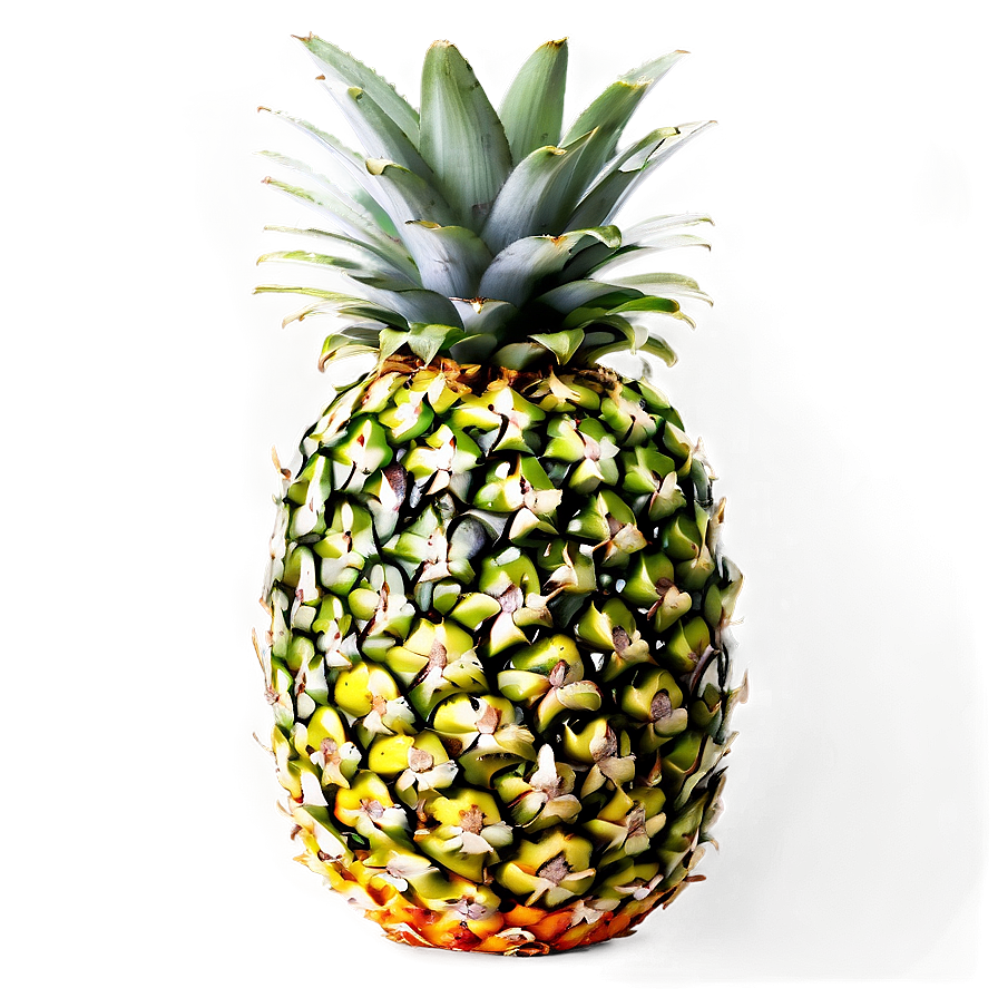 Pineapple Healthy Png 05032024 PNG image