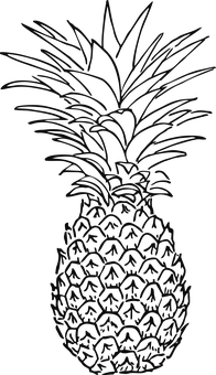 Pineapple Silhouette Outline PNG image