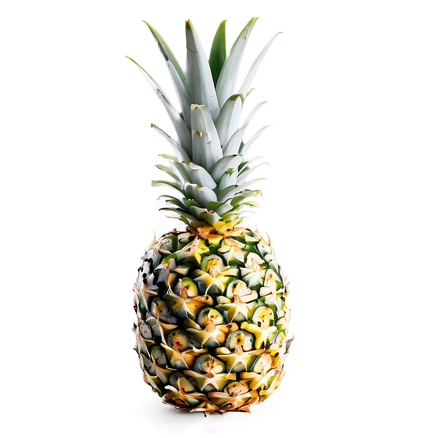 Pineapple Top View Png Bou PNG image