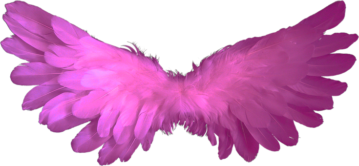 Pink Angel Wings Black Background PNG image
