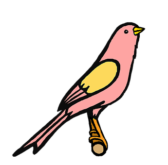 Pink Bird Illustration PNG image