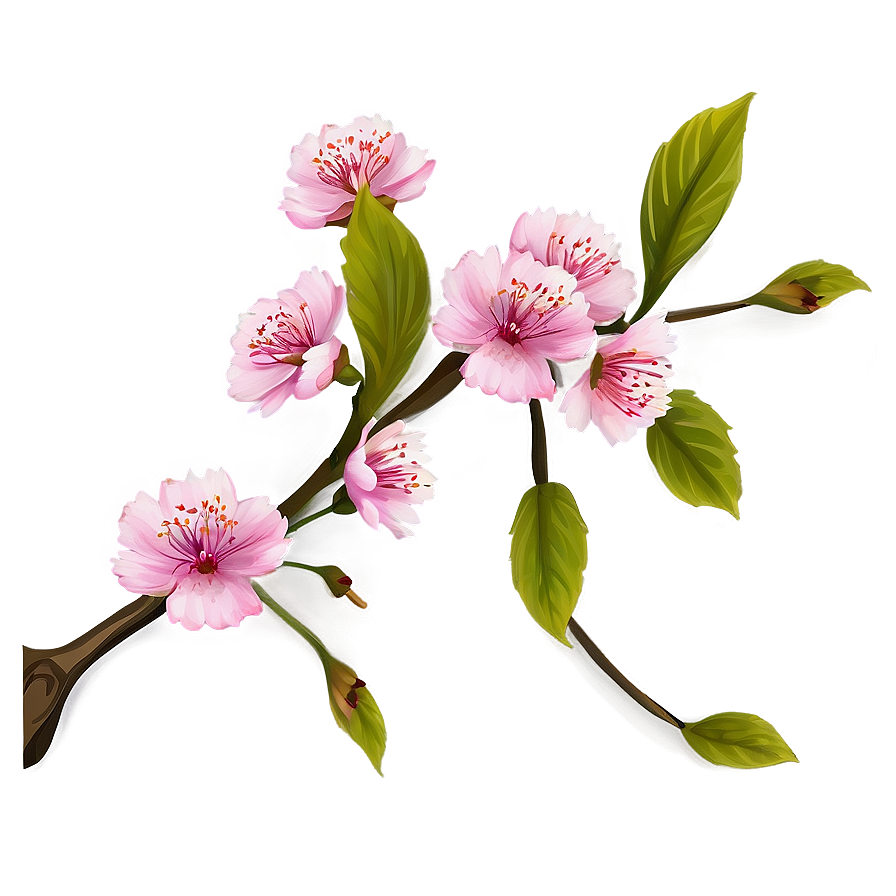 Pink Blossom Branch Png 93 PNG image