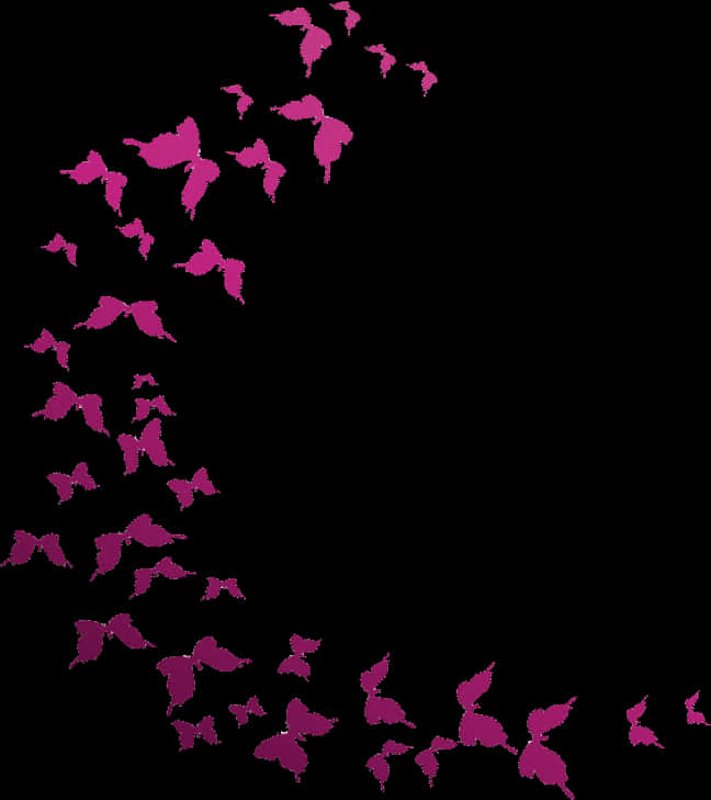 Pink Butterfly Silhouetteson Black PNG image