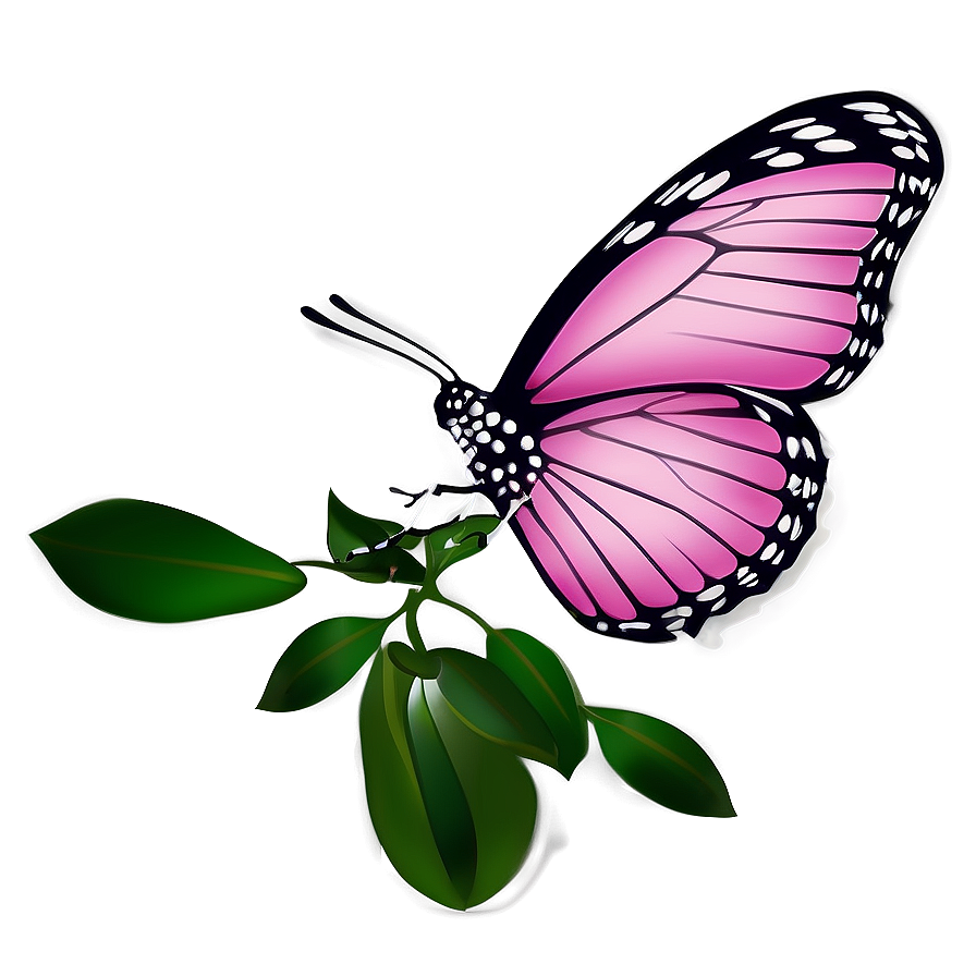 Pink Butterfly With Floral Elements Png 05232024 PNG image