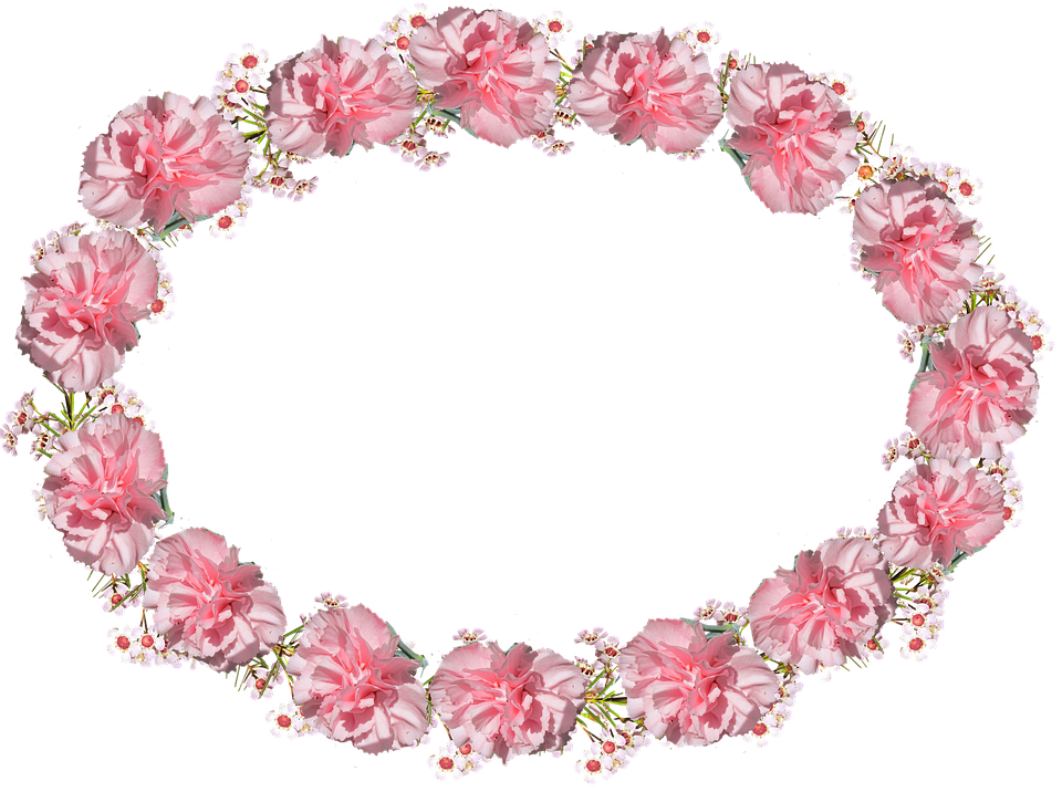 Pink Carnation Wreath Frame PNG image