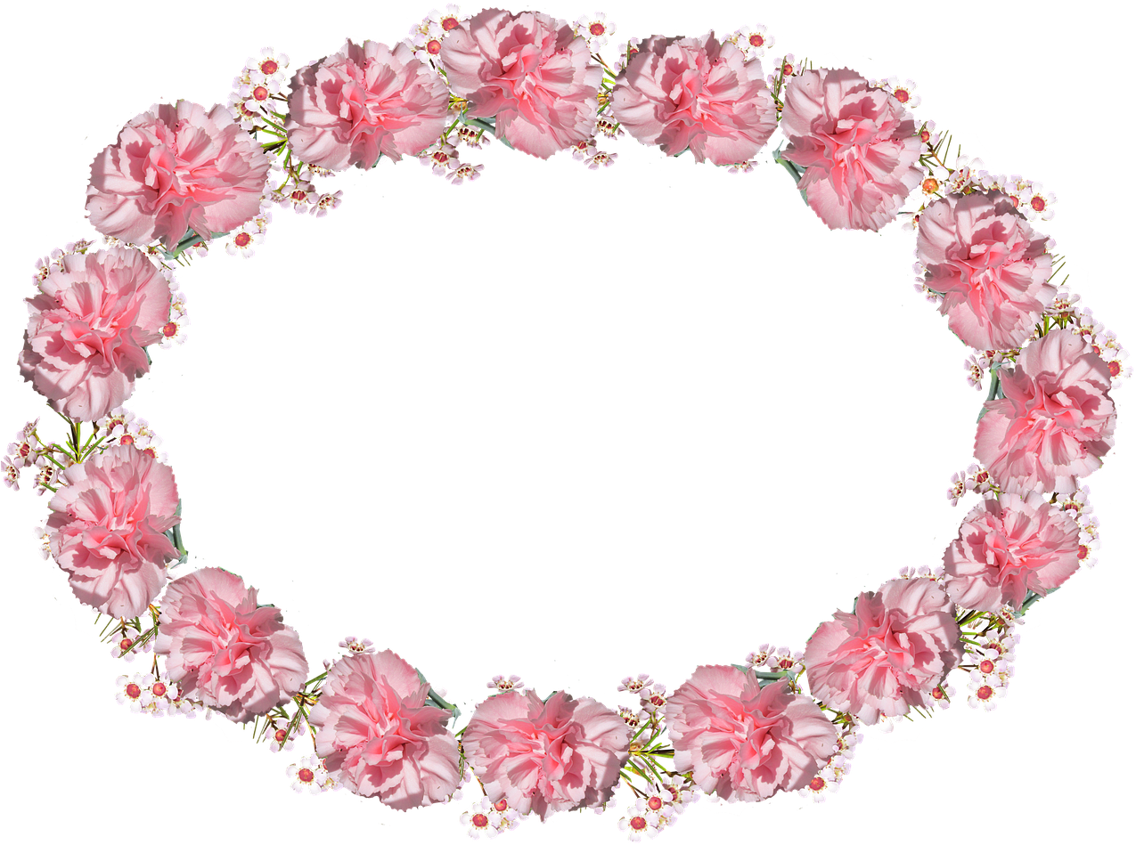 Pink Carnation Wreath Transparent Background PNG image