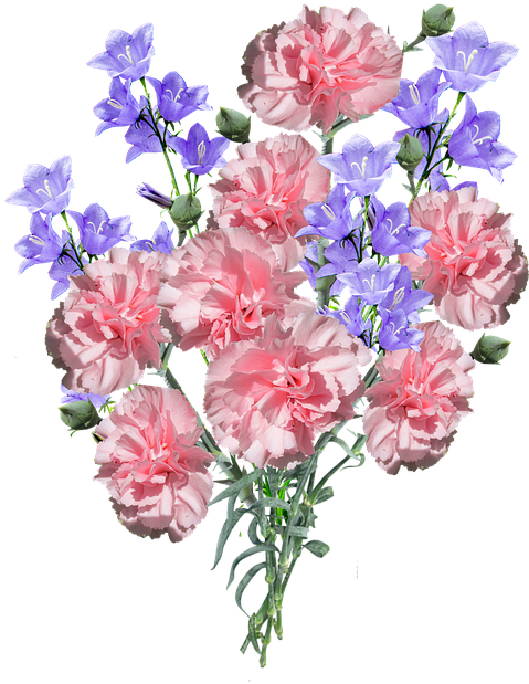 Pink Carnationsand Purple Flowers Bouquet PNG image