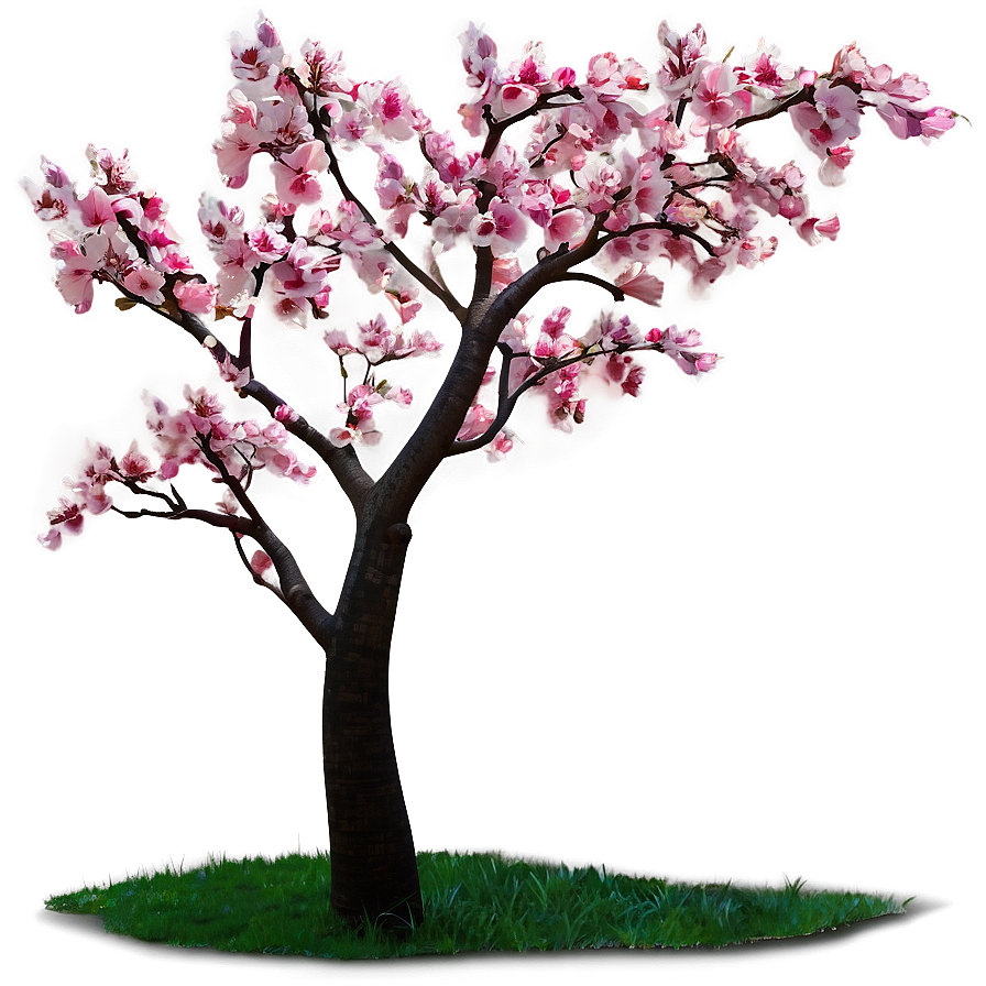 Pink Cherry Tree Png Mlp PNG image