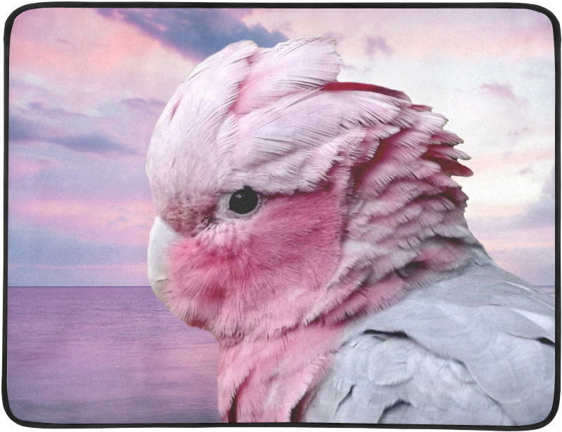 Pink Cockatoo Sunset Portrait PNG image