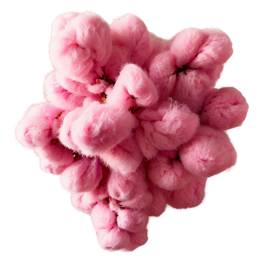 Pink Cotton Puff Png Krv PNG image