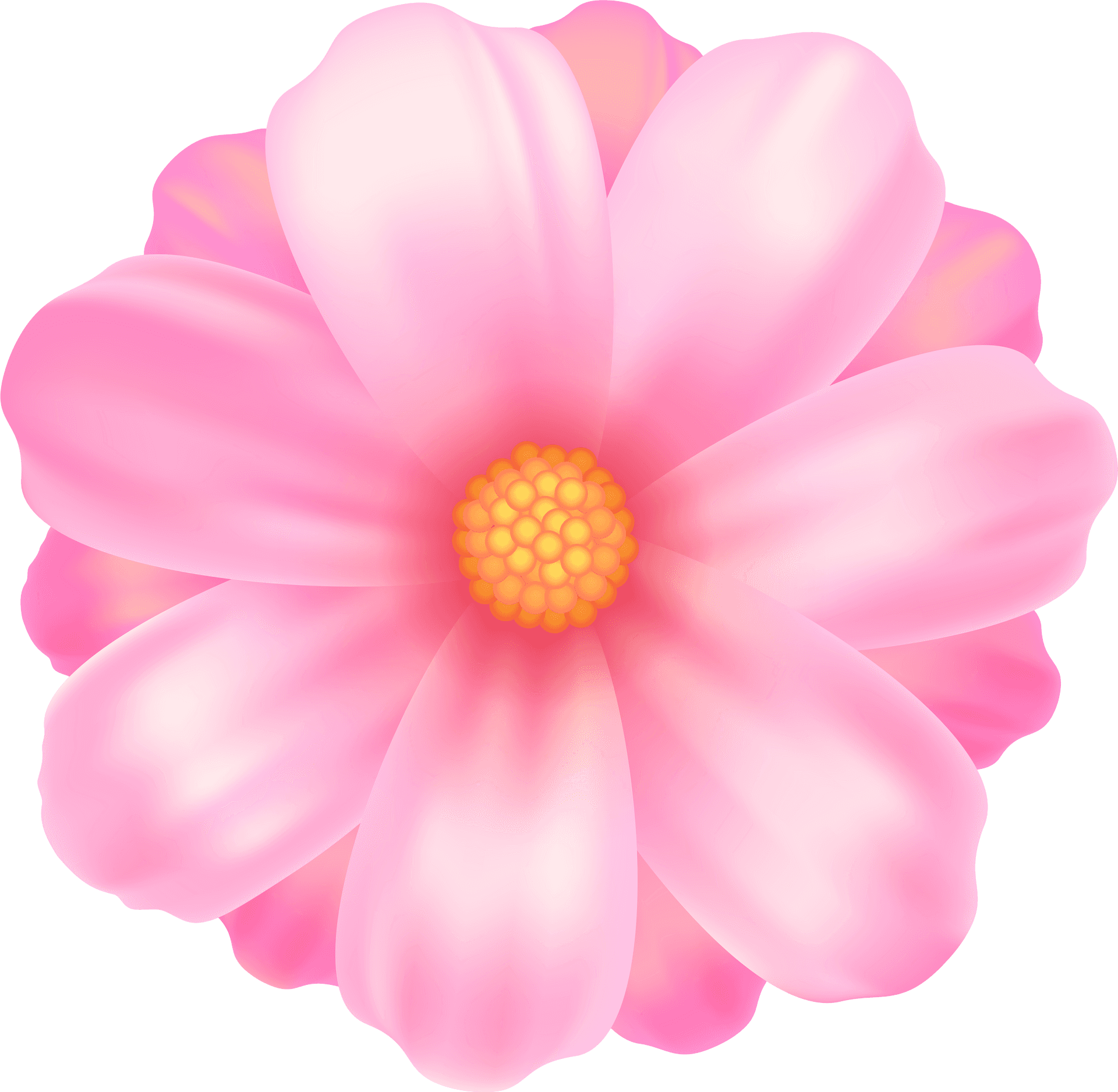 Pink Daisy Illustration PNG image