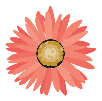 Pink Daisy Illustration PNG image