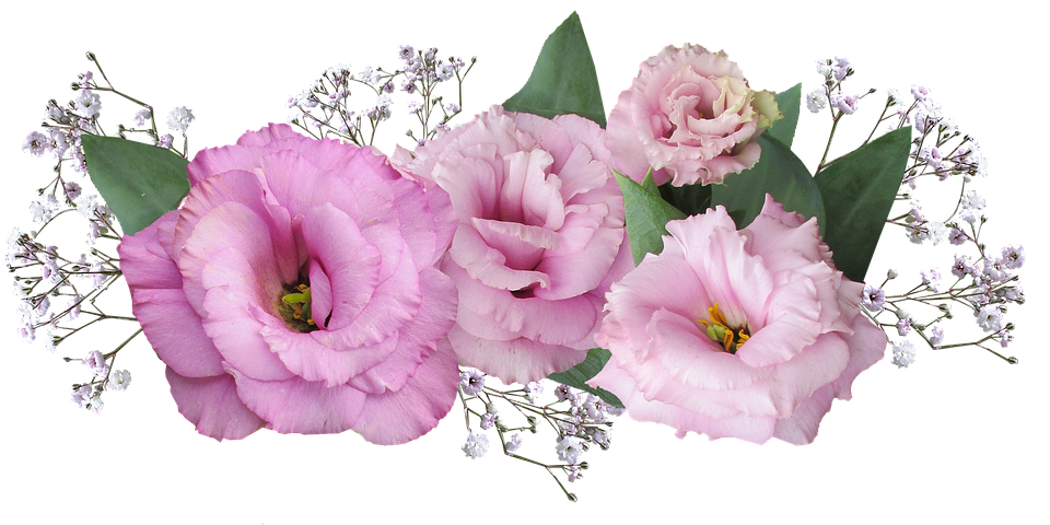 Pink_ Eustoma_ Flowers_ Arrangement PNG image