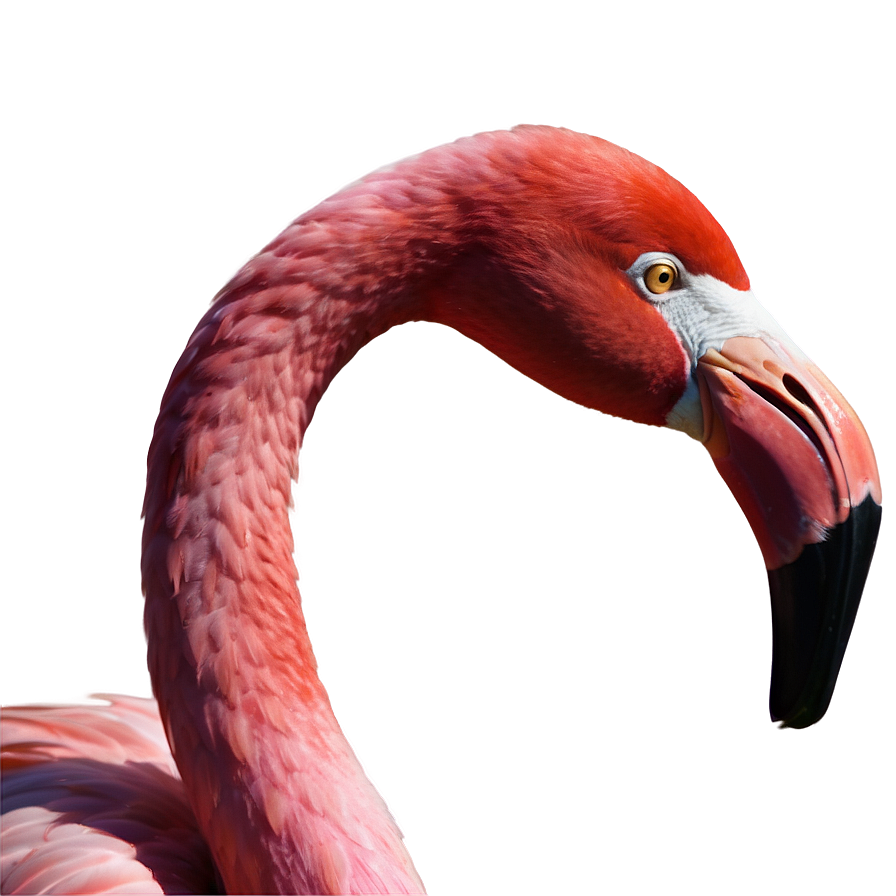 Pink Flamingo Icon Png Slr91 PNG image