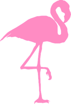 Pink Flamingo Silhouette PNG image