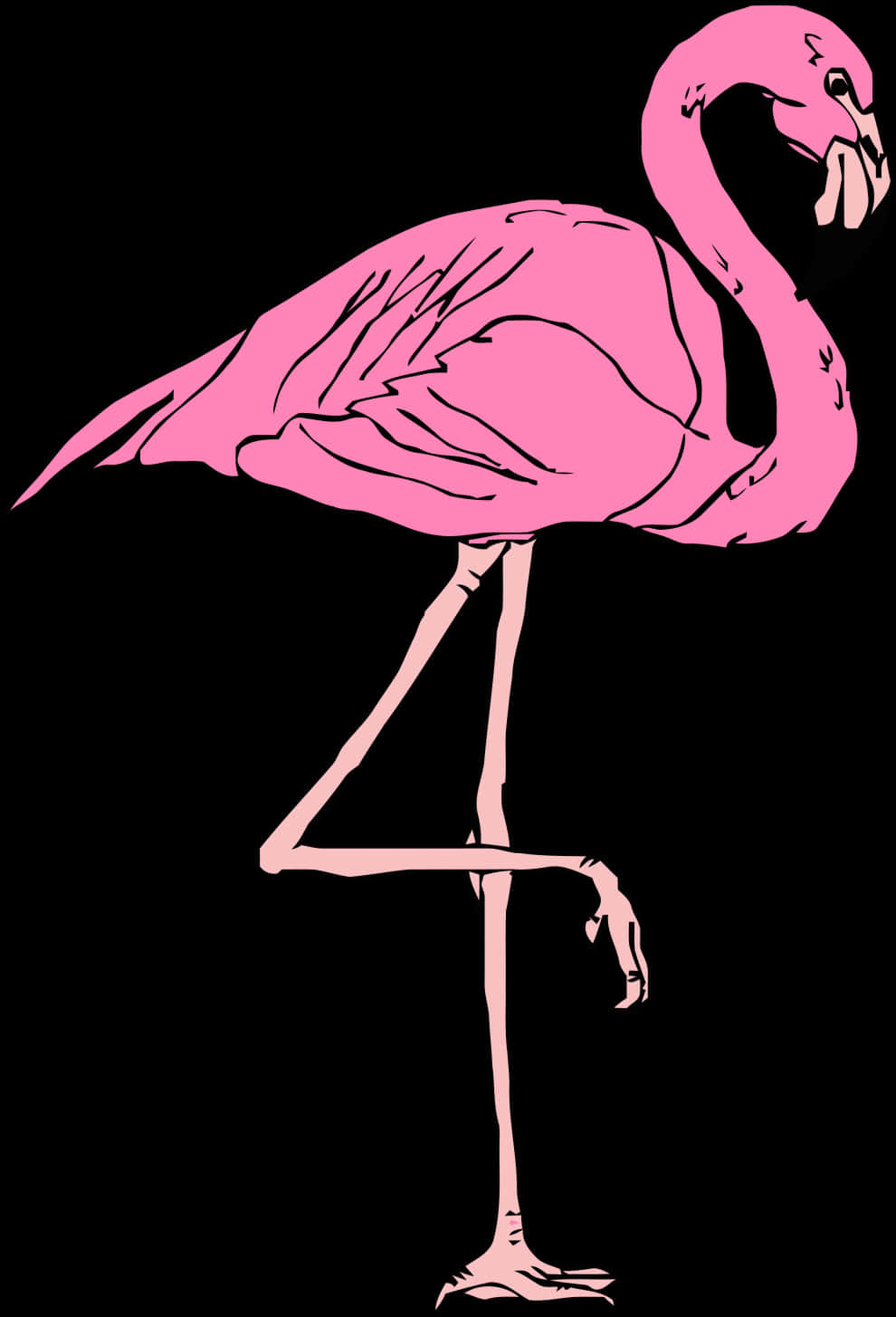 Pink Flamingo Vector Art PNG image