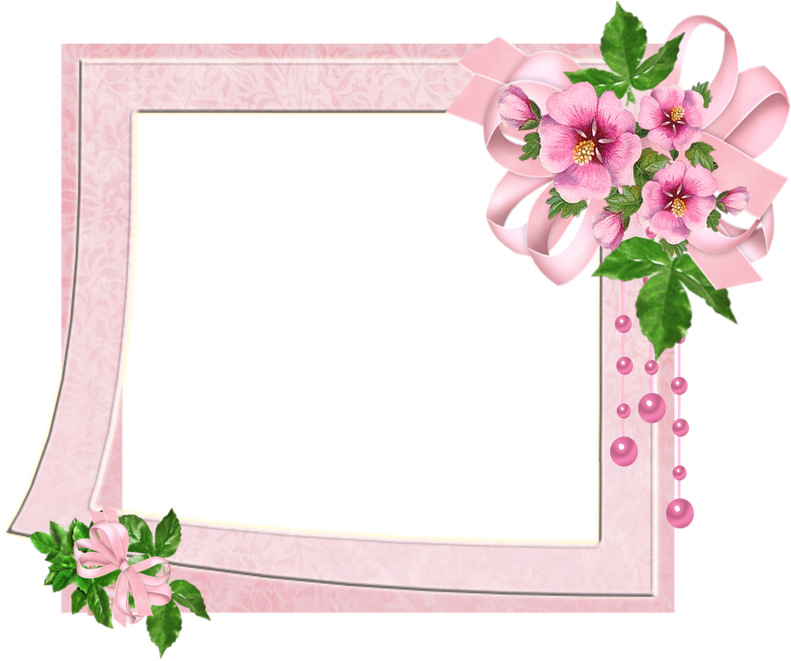 Pink Floral Decorative Border PNG image