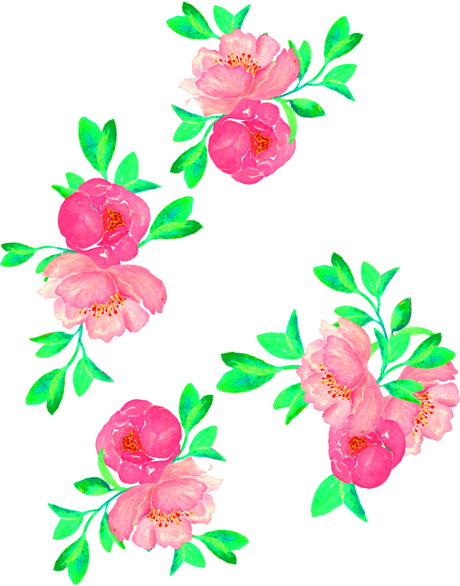 Pink Floral Vector Artwork PNG image