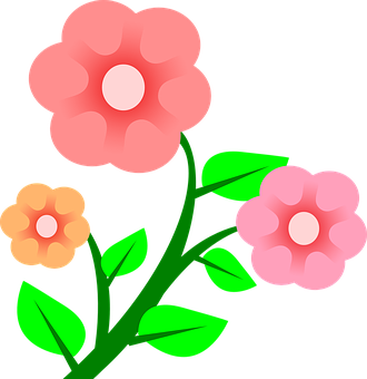 Pink Floral Vector Illustration PNG image