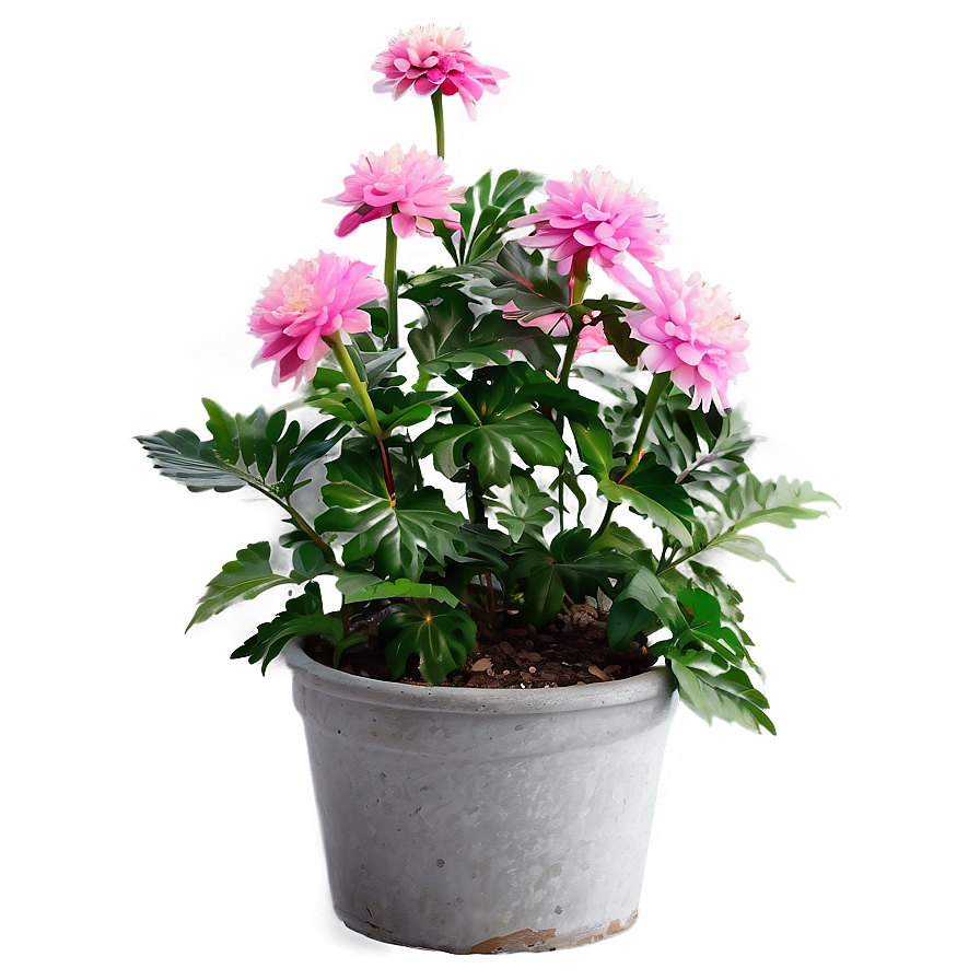 Pink Flower Bush Png 24 PNG image