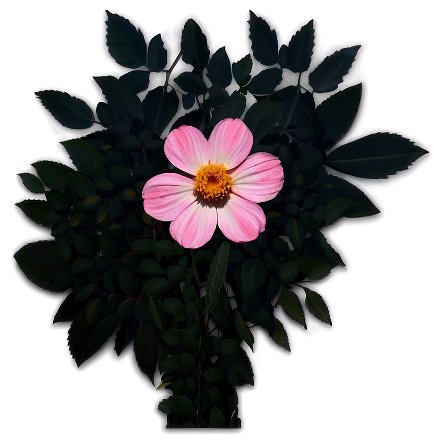 Pink Flower Silhouette Png 71 PNG image